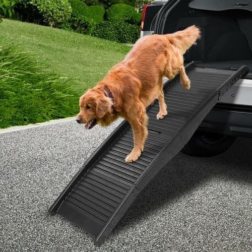 Foldable Pet Ramp for Beds, Cars & Couches - Senior Dog Mobility Aid